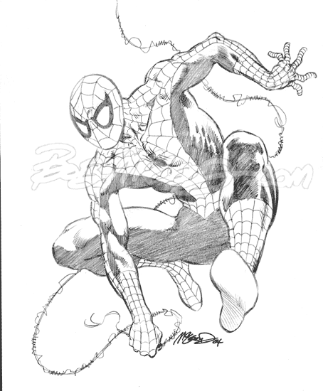 Spider-Man 2004 9" x 12"